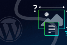 Wordpress Tema Alırken Nelere Dikkat edilmeli?