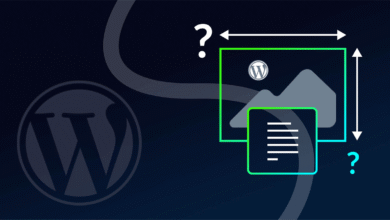 Wordpress Tema Alırken Nelere Dikkat edilmeli?