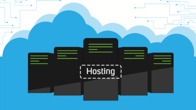 Hosting Nedir?