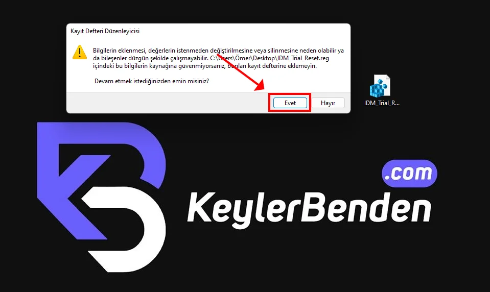 İnternet Download Manager Full
